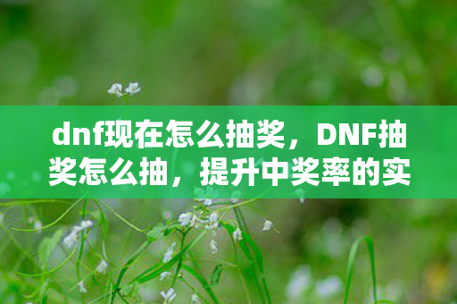 dnf现在怎么抽奖，DNF抽奖怎么抽，提升中奖率的实用技巧