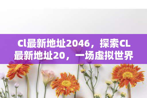 Cl最新地址2046，探索CL最新地址20，一场虚拟世界的奇妙之旅