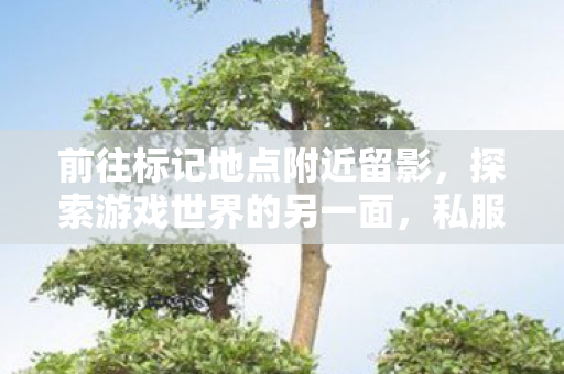 前往标记地点附近留影，探索游戏世界的另一面，私服与官方服务器的独特魅力