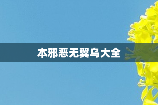 本邪恶无翼乌大全