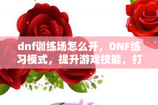 dnf训练场怎么开，DNF练习模式，提升游戏技能，打造卓越战斗体验
