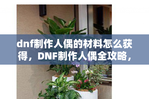 dnf制作人偶的材料怎么获得，DNF制作人偶全攻略，打造独一无二的角色