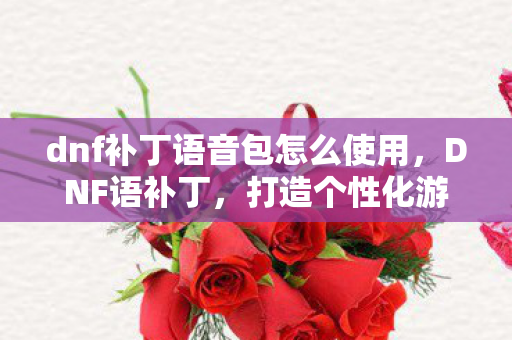dnf补丁语音包怎么使用，DNF语补丁，打造个性化游戏体验