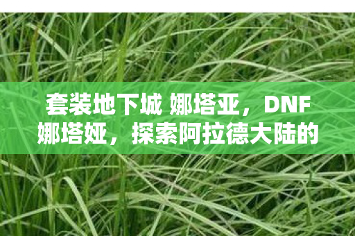 套装地下城 娜塔亚，DNF娜塔娅，探索阿拉德大陆的神秘之旅