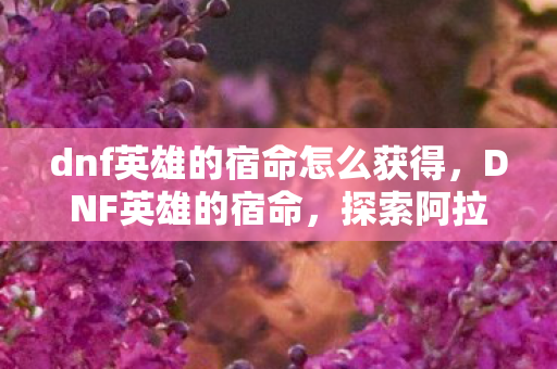 dnf英雄的宿命怎么获得，DNF英雄的宿命，探索阿拉德大陆的无尽挑战