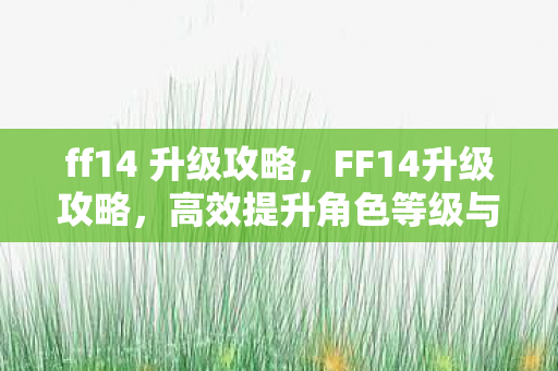 ff14 升级攻略，FF14升级攻略，高效提升角色等级与装备实力
