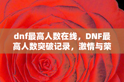 dnf最高人数在线，DNF最高人数突破记录，激情与荣耀的见证