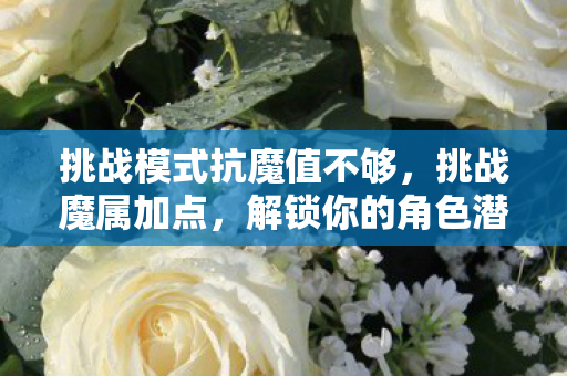 挑战模式抗魔值不够，挑战魔属加点，解锁你的角色潜能