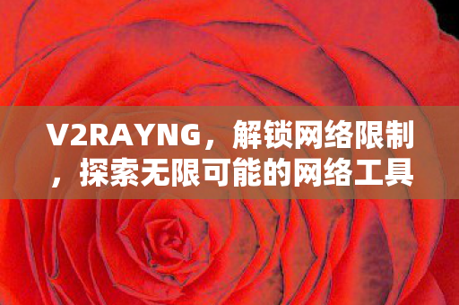 V2RAYNG，解锁网络限制，探索无限可能的网络工具