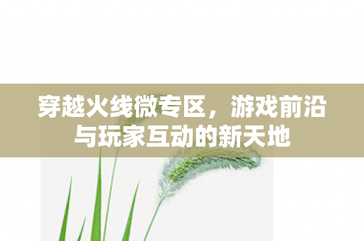 穿越火线微专区，游戏前沿与玩家互动的新天地