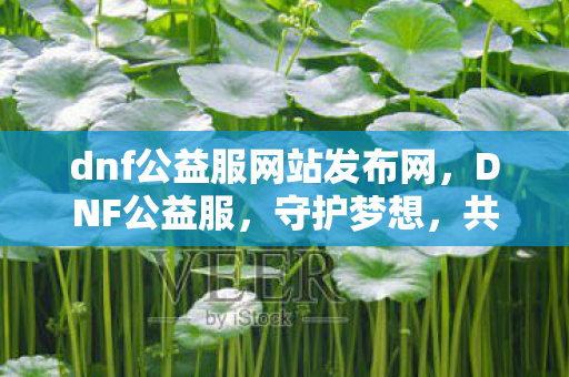 dnf公益服网站发布网，DNF公益服，守护梦想，共筑公益新篇章