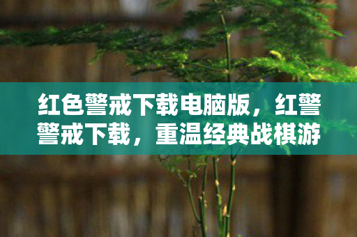红色警戒下载电脑版，红警警戒下载，重温经典战棋游戏的便捷途径