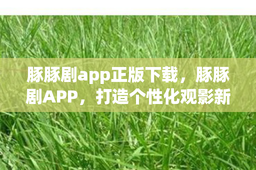 豚豚剧app正版下载，豚豚剧APP，打造个性化观影新体验