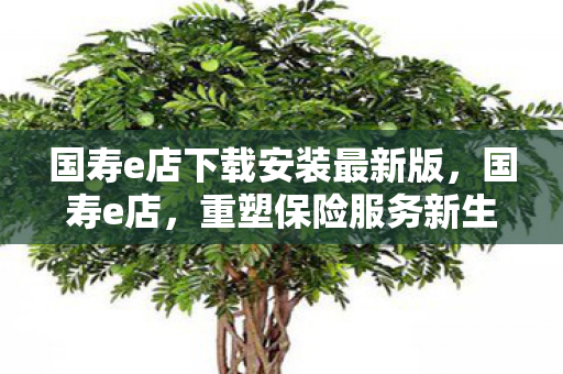 国寿e店下载安装最新版，国寿e店，重塑保险服务新生态