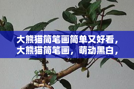 大熊猫简笔画简单又好看，大熊猫简笔画，萌动黑白，一笔一划皆成趣