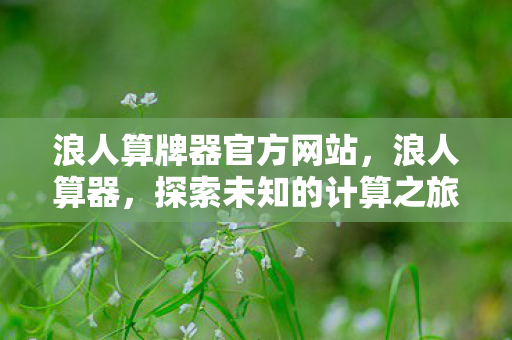 浪人算牌器官方网站，浪人算器，探索未知的计算之旅