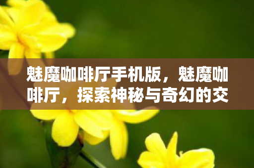 魅魔咖啡厅手机版，魅魔咖啡厅，探索神秘与奇幻的交界