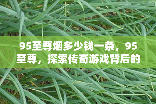 95至尊烟多少钱一条，95至尊，探索传奇游戏背后的运营艺术