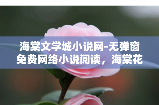 海棠文学城小说网-无弹窗免费网络小说阅读，海棠花开，探索古典园林中的诗情画意