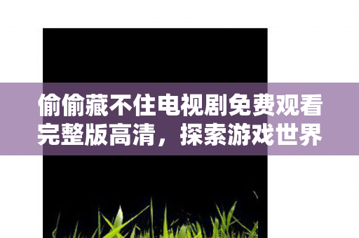 偷偷藏不住电视剧免费观看完整版高清，探索游戏世界的无限可能，私服与官方服务器的独特魅力