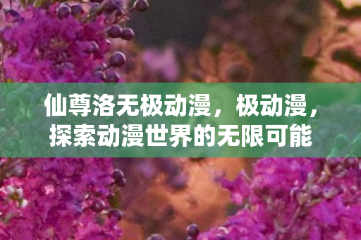 仙尊洛无极动漫，极动漫，探索动漫世界的无限可能