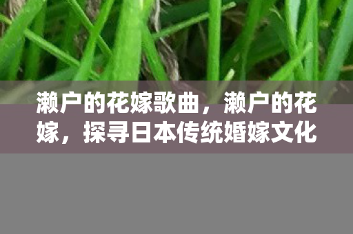 濑户的花嫁歌曲，濑户的花嫁，探寻日本传统婚嫁文化的魅力