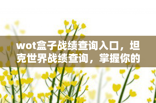 wot盒子战绩查询入口，坦克世界战绩查询，掌握你的战斗数据