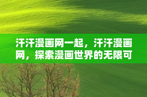 汗汗漫画网一起，汗汗漫画网，探索漫画世界的无限可能