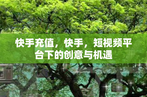 快手充值，快手，短视频平台下的创意与机遇