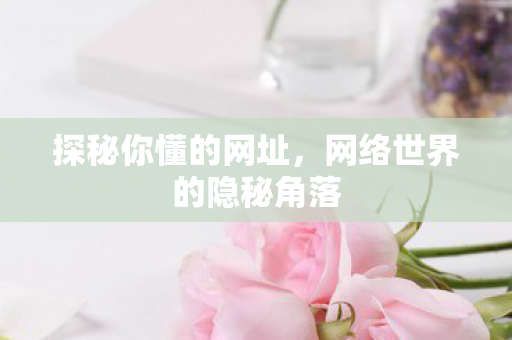 探秘你懂的网址，网络世界的隐秘角落