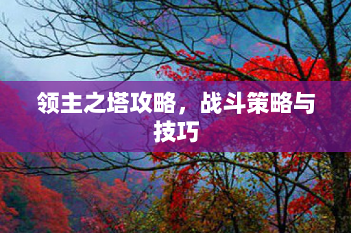 领主之塔攻略，战斗策略与技巧