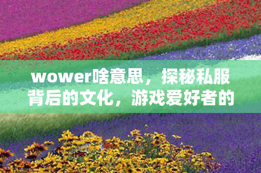 wower啥意思，探秘私服背后的文化，游戏爱好者的另类选择