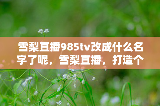 雪梨直播985tv改成什么名字了呢，雪梨直播，打造个性化娱乐新体验