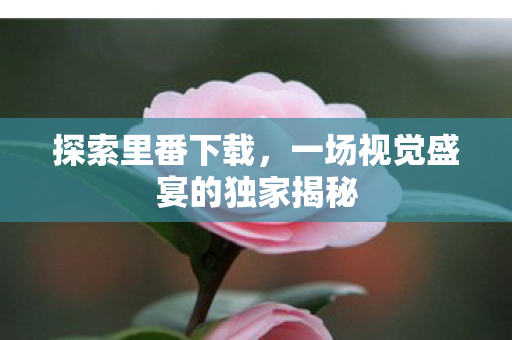 探索里番下载，一场视觉盛宴的独家揭秘