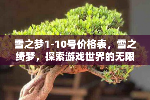 雪之梦1-10号价格表，雪之绮梦，探索游戏世界的无限可能
