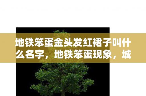 地铁笨蛋金头发红裙子叫什么名字，地铁笨蛋现象，城市生活中的微妙尴尬与自我反思