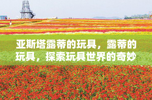亚斯塔露蒂的玩具，露蒂的玩具，探索玩具世界的奇妙之旅