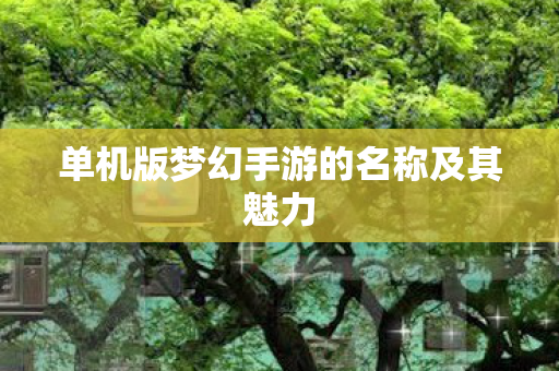 单机版梦幻手游的名称及其魅力