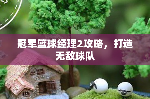 冠军篮球经理2攻略，打造无敌球队