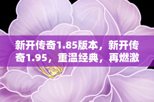 新开传奇1.85版本，新开传奇1.95，重温经典，再燃激情