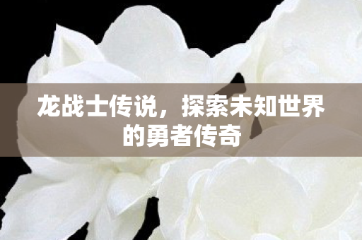 龙战士传说，探索未知世界的勇者传奇