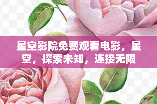 星空影院免费观看电影，星空，探索未知，连接无限