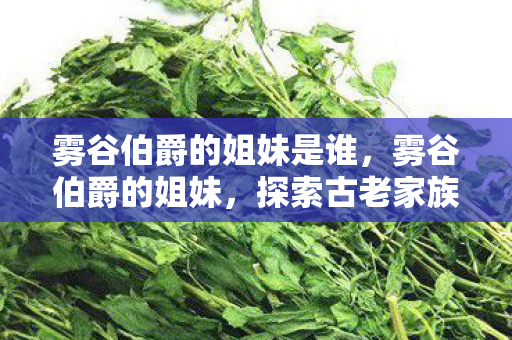 雾谷伯爵的姐妹是谁，雾谷伯爵的姐妹，探索古老家族的传承与荣耀