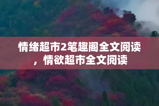 情绪超市2笔趣阁全文阅读，情欲超市全文阅读
