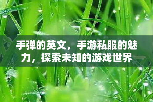 手弹的英文，手游私服的魅力，探索未知的游戏世界