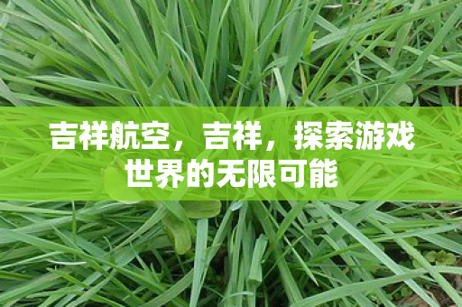 吉祥航空，吉祥，探索游戏世界的无限可能
