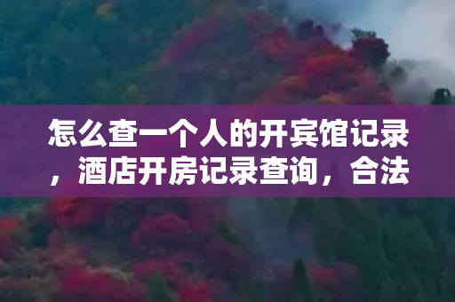 怎么查一个人的开宾馆记录，酒店开房记录查询，合法途径与注意事项