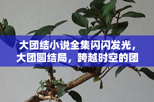 大团结小说全集闪闪发光，大团圆结局，跨越时空的团结