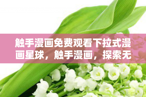 触手漫画免费观看下拉式漫画星球，触手漫画，探索无限想象的漫画世界