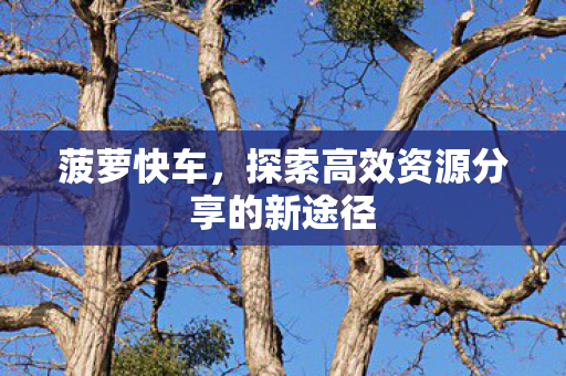 菠萝快车，探索高效资源分享的新途径